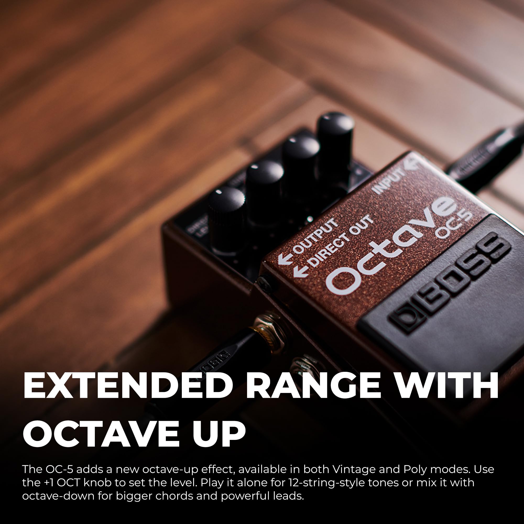 Amazon.com: Boss OC-5 Octave Pedal Bundle with Gearlux Instrument